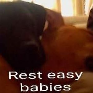 Meet your Posher, Jon